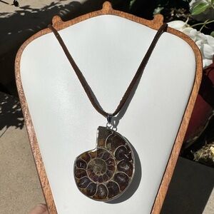 Awesome Fossil Ammonite Pendant Necklace Brown suede cord
